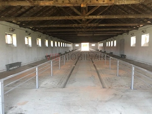 Ferma complet utilată – 30 ha teren comasat Timiș – Comuna Biled - imagine 17