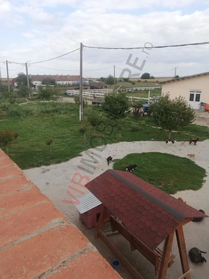 Ferma Zootehnică– Satchinez,  | 9,5 ha teren,vanzare sau schimb pentru jumatate din valoare - imagine 7