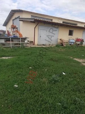 Ferma Zootehnică– Satchinez,  | 9,5 ha teren,vanzare sau schimb pentru jumatate din valoare - imagine 10