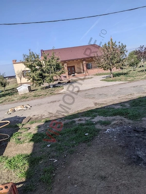 Ferma Zootehnică– Satchinez,  | 9,5 ha teren,vanzare sau schimb pentru jumatate din valoare - imagine 5