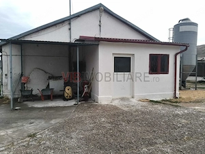 Ferma avicola pe profit, judetul Bihor-Oradea - imagine 10