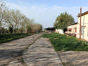 Ferma avicola inchiriere sau vanzare, localitatea Calacea - imagine 5