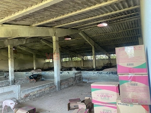 Ferma zootehnica mixta de VANZARE SAU INCHIRIAT in judetul Vrancea - imagine 4