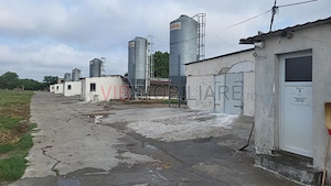 Ferma avicola pe profit, judetul Bihor-Oradea