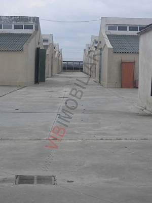 *Fermă modernă pentru export miei | 6 ha | Standarde europene | Aproape de Brăila* - imagine 9