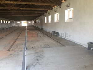 Ferma complet utilată – 30 ha teren comasat Timiș – Comuna Biled - imagine 15