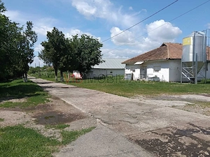 Afacere de vânzare: Fermă Avicola – Ialomița - imagine 9