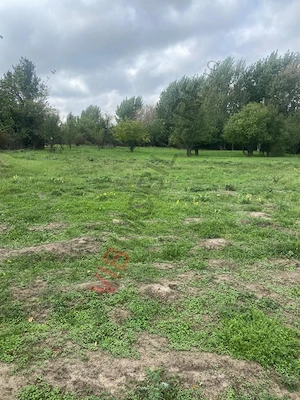 Ferma zootehnica mixta de VANZARE SAU INCHIRIAT in judetul Vrancea