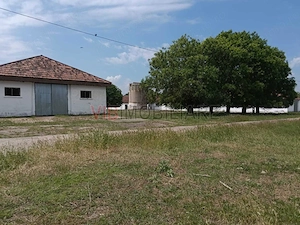 Ferma complet utilată – 30 ha teren comasat Timiș – Comuna Biled - imagine 12