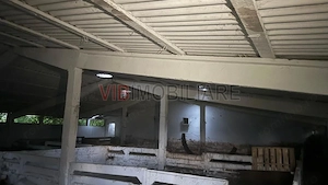 Ferma zootehnica mixta de VANZARE SAU INCHIRIAT in judetul Vrancea - imagine 7