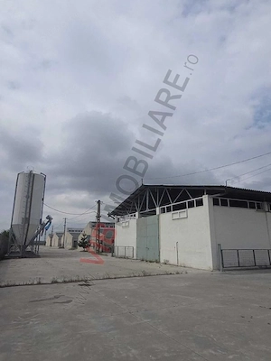 *Fermă modernă pentru export miei | 6 ha | Standarde europene | Aproape de Brăila* - imagine 11