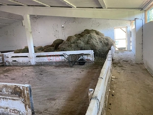 Ferma zootehnica mixta de VANZARE SAU INCHIRIAT in judetul Vrancea - imagine 3