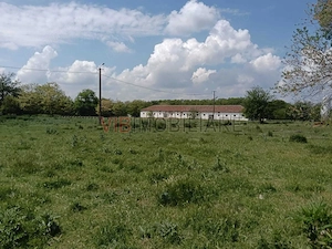 Ferma complet utilată – 30 ha teren comasat Timiș – Comuna Biled - imagine 9