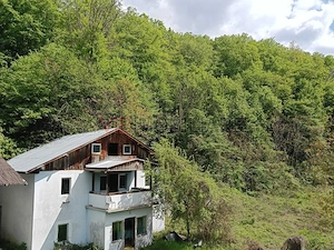 Proprietate turistică | Fost hotel | Teren 8900 mp | Aproape de Dunăre - imagine 3