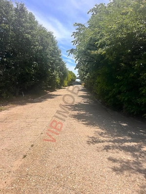 Ferma agricola premium , judet CONSTANȚA |  2.000 HA - imagine 3