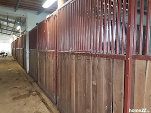 Ferma Zootehnică– Satchinez,  | 9,5 ha teren,vanzare sau schimb pentru jumatate din valoare - imagine 14