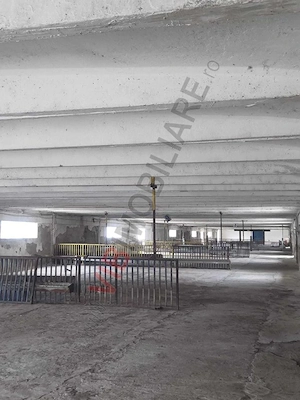 *Fermă modernă pentru export miei | 6 ha | Standarde europene | Aproape de Brăila* - imagine 12