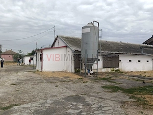 Ferma avicola pe profit, judetul Bihor-Oradea - imagine 7