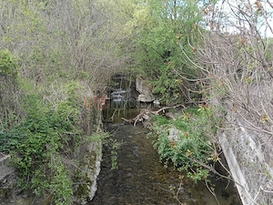 Proprietate turistică | Fost hotel | Teren 8900 mp | Aproape de Dunăre - imagine 7