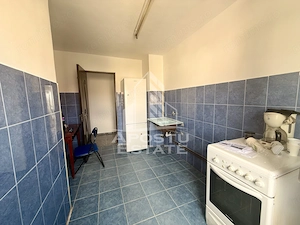 Apartament 3 camere de vanzare, zona Dorobantilor, Timisoara - imagine 10