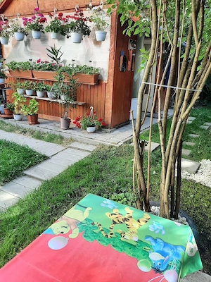 de vanzare apt. 2camere  complect mobilat cu incalzire pe gaz(centrala )si casuta de vacanta cu dota - imagine 5