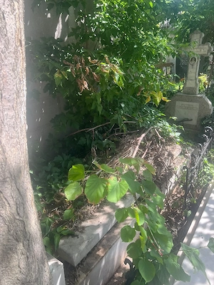 Loc de veci cimitirul Iancu Nou