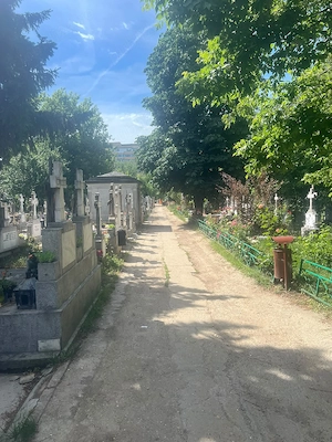 Loc de veci cimitirul Iancu Nou - imagine 5