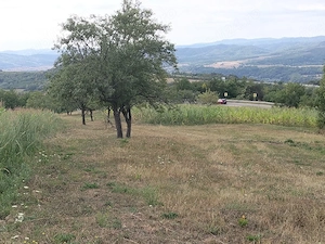 Vând teren intravilan in suprafață de 80 ari ,este loc pentru a constru ,cu deschidere spre strada ,