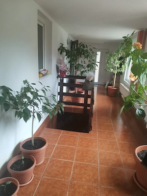 Proprietar, Vand casa cu mansarda in Tarlungeni - imagine 8