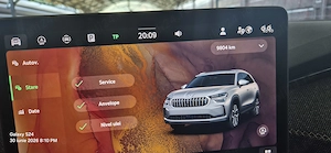 Vand Skoda Kodiaq - imagine 7