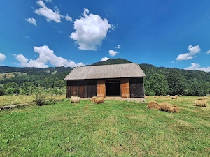  Teren Superb 18.200 mp Poiana Veche, Tulgheș - Oportunitate Investiție Turistică - imagine 4