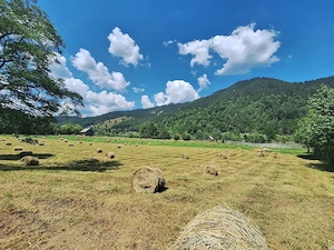  Teren Superb 18.200 mp Poiana Veche, Tulgheș - Oportunitate Investiție Turistică - imagine 3