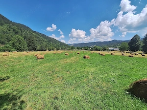  Teren Superb 18.200 mp Poiana Veche, Tulgheș - Oportunitate Investiție Turistică - imagine 5
