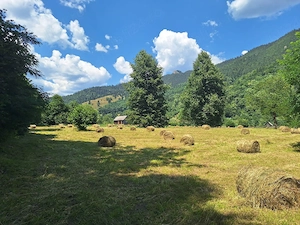  Teren Superb 18.200 mp Poiana Veche, Tulgheș - Oportunitate Investiție Turistică