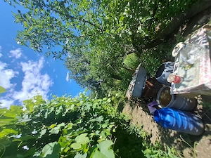 Vand Casă in com. Valea Lupului - imagine 4