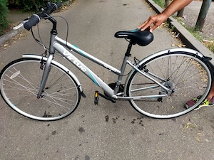 Biciclete damă barbat 350 Ron Bulls Apollo