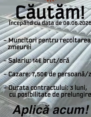 Se caută 2 persoane serioase la zmeură 