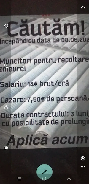 2 cupluri t la. Revoltată zmeură 