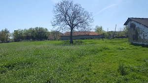 Casa la țară cu pământ  5000 mp - imagine 5