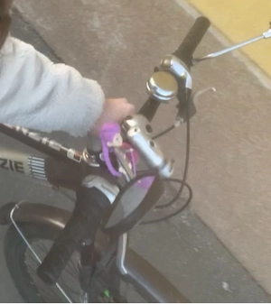 Bicicletă 
