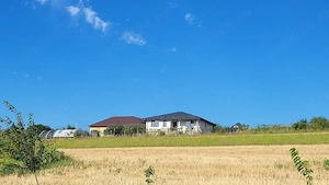 case de vinzare  