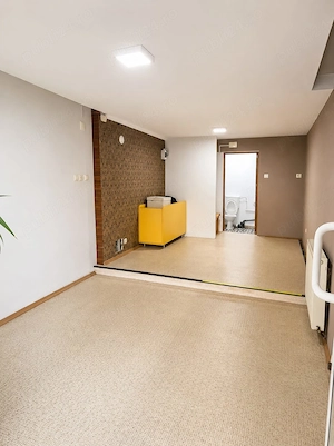 Rudolf 30 mp spatiu comercial - imagine 4