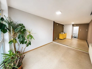 Rudolf 30 mp spatiu comercial - imagine 3