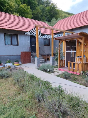 Casă renovată + 2.000 mp intravilan | Căzănești | Drumul Regelui | 8 km Vața Băi - imagine 3