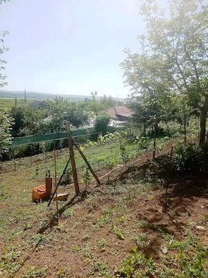 Casă de vânzare + teren 4km centru Vaslui, suburbia Brodoc  - imagine 10
