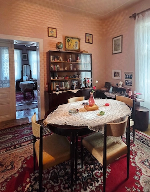 Vand casa caramida pe colt in Satchinez - imagine 7