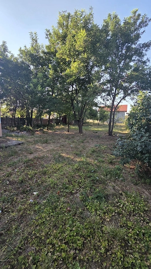 Vand casa caramida pe colt in Satchinez - imagine 3