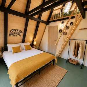 Cabana A-frame cu jacuzzi -Porumbacu, Transfăgărășan, Avrig Sibiu (   ) - imagine 4