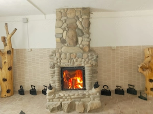 Casă de vacanță și teren extravilan - imagine 3
