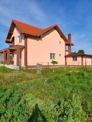 Casă în județul Arad Comuna Șagu Localitate Firiteaz  - imagine 2